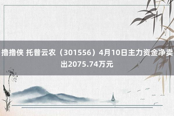 撸撸侠 托普云农（301556）4月10日主力资金净卖出2075.74万元