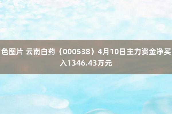 色图片 云南白药（000538）4月10日主力资金净买入1346.43万元