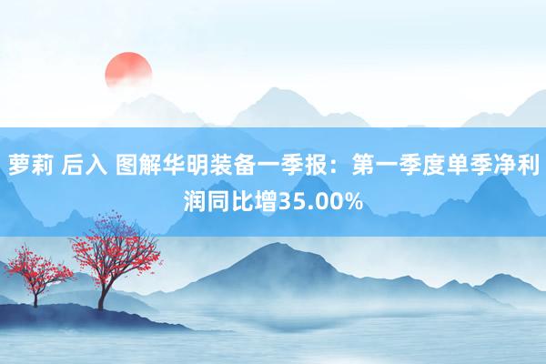 萝莉 后入 图解华明装备一季报：第一季度单季净利润同比增35.00%