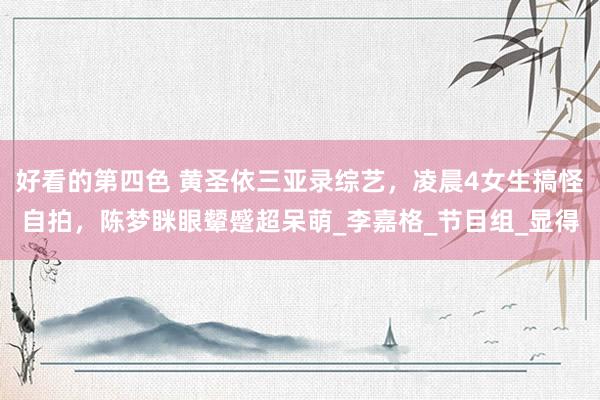 好看的第四色 黄圣依三亚录综艺，凌晨4女生搞怪自拍，陈梦眯眼颦蹙超呆萌_李嘉格_节目组_显得