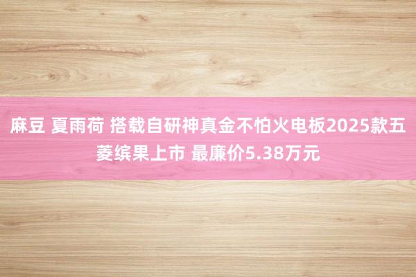 麻豆 夏雨荷 搭载自研神真金不怕火电板2025款五菱缤果上市 最廉价5.38万元