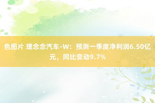 色图片 理念念汽车-W：预测一季度净利润6.50亿元，同比变动9.7%
