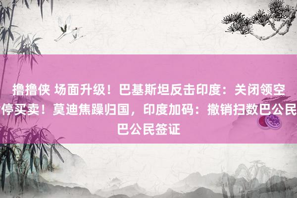 撸撸侠 场面升级！巴基斯坦反击印度：关闭领空，暂停买卖！莫迪焦躁归国，印度加码：撤销扫数巴公民签证