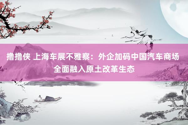 撸撸侠 上海车展不雅察：外企加码中国汽车商场 全面融入原土改革生态