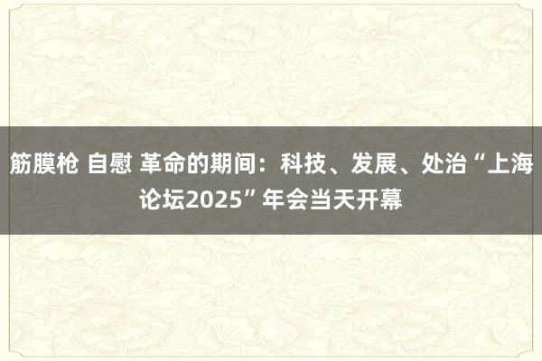 筋膜枪 自慰 革命的期间：科技、发展、处治“上海论坛2025”年会当天开幕