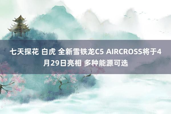 七天探花 白虎 全新雪铁龙C5 AIRCROSS将于4月29日亮相 多种能源可选