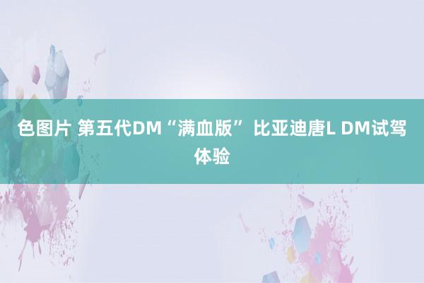 色图片 第五代DM“满血版” 比亚迪唐L DM试驾体验
