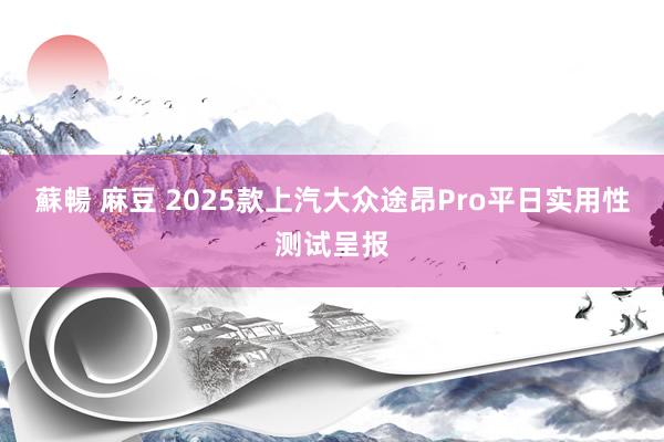 蘇暢 麻豆 2025款上汽大众途昂Pro平日实用性测试呈报