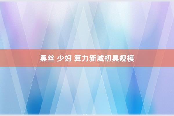 黑丝 少妇 算力新城初具规模