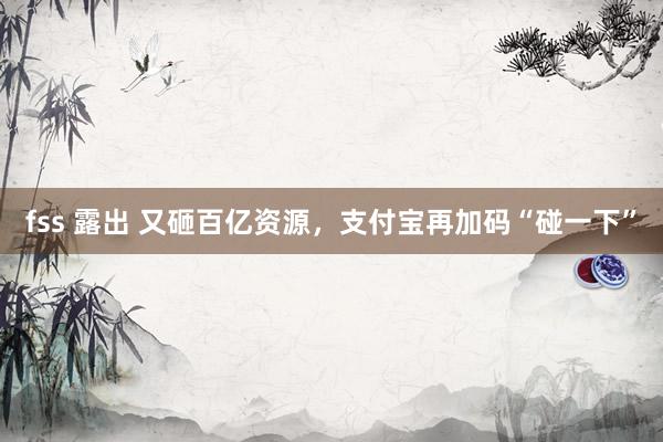 fss 露出 又砸百亿资源，支付宝再加码“碰一下”