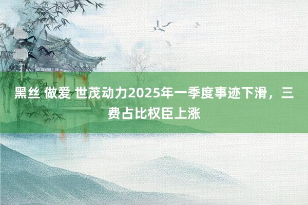 黑丝 做爱 世茂动力2025年一季度事迹下滑，三费占比权臣上涨